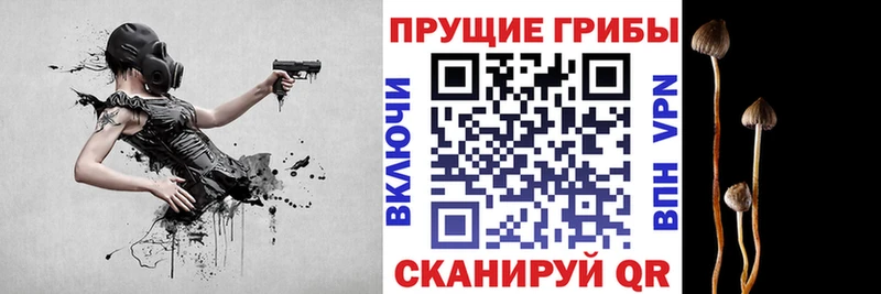 Галлюциногенные грибы Cubensis  Томилино 